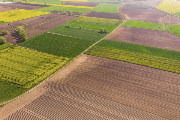 Estudios Edafológicos · Ingenieros Geotécnicos y Geofísicos La Roca del Vallès